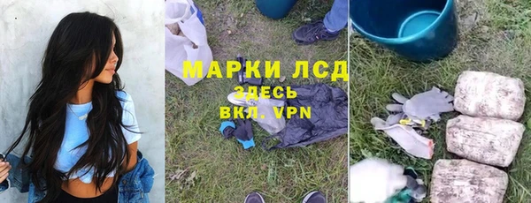 стафф Алзамай