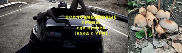 ECSTASY Алексин