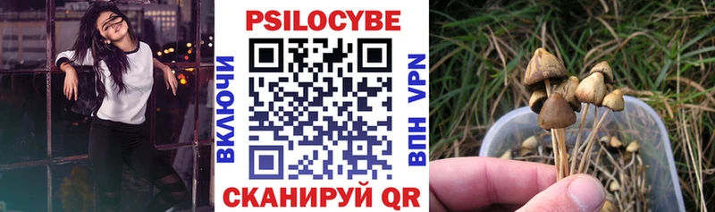 Галлюциногенные грибы Psilocybine cubensis Лысково