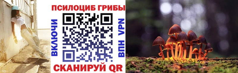 магазин продажи Лысково Псилоцибиновые грибы прущие грибы